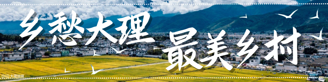 首届“乡愁大理 最美乡村”公布，大理市4村上榜！